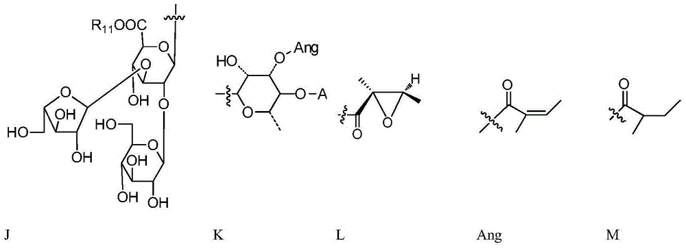 Triterpenoid saponin-type compounds of shinyleaf yellowhorn, as well as preparation method and application of compounds