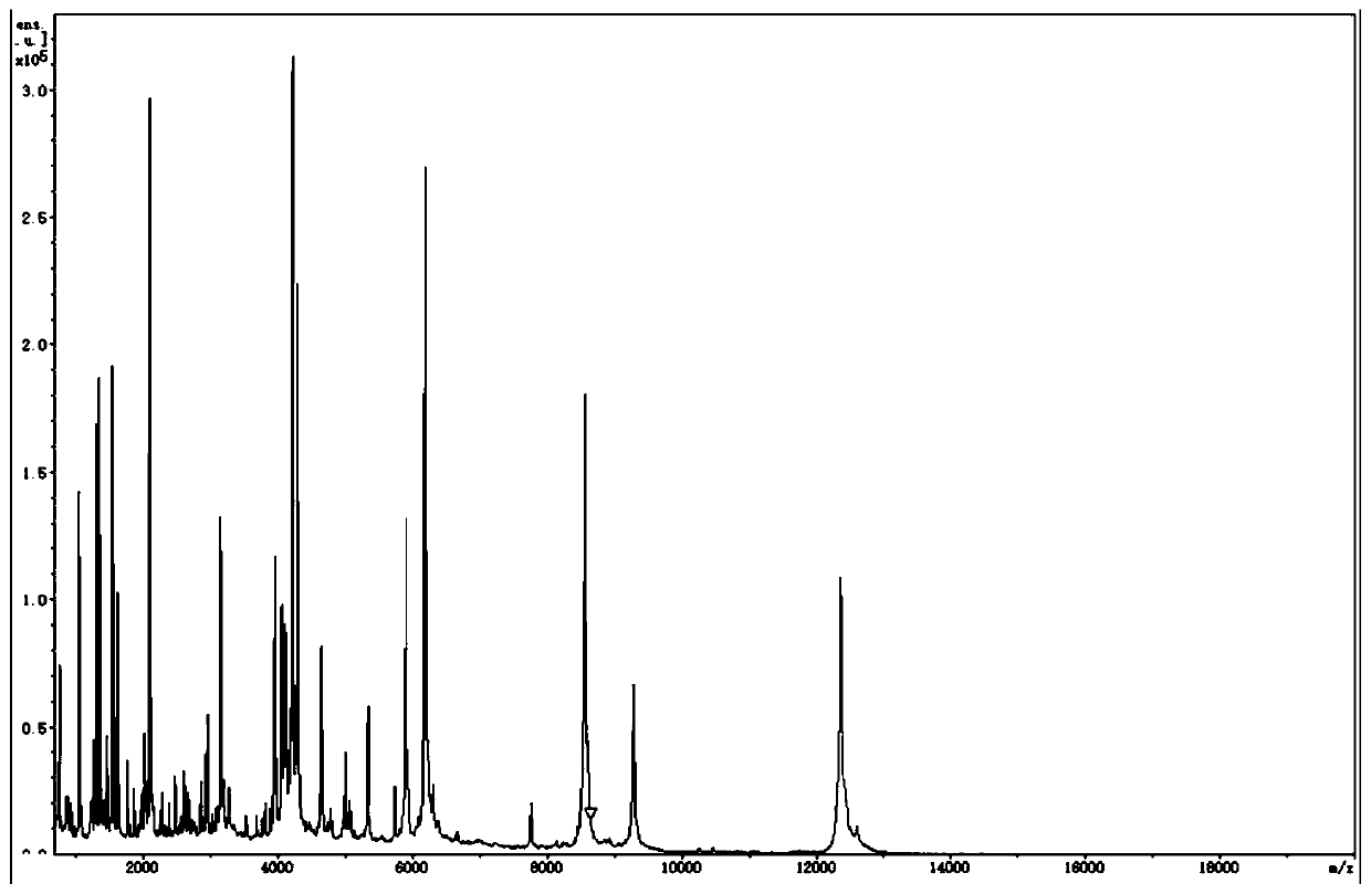 Molecular weight correction standard substance kit for polypeptide or protein spectrum detection as well as preparation method and use method of molecular weight correction standard substance kit