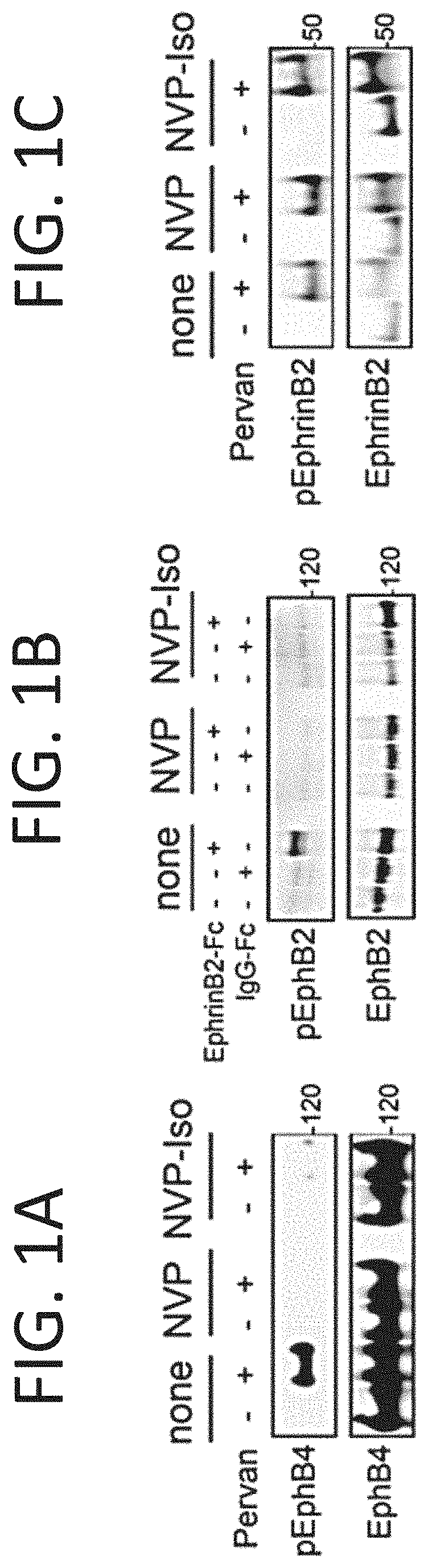 Receptor tyrosine kinase inhibitors for treatment of protein kinase modulation-responsive disease or disorder