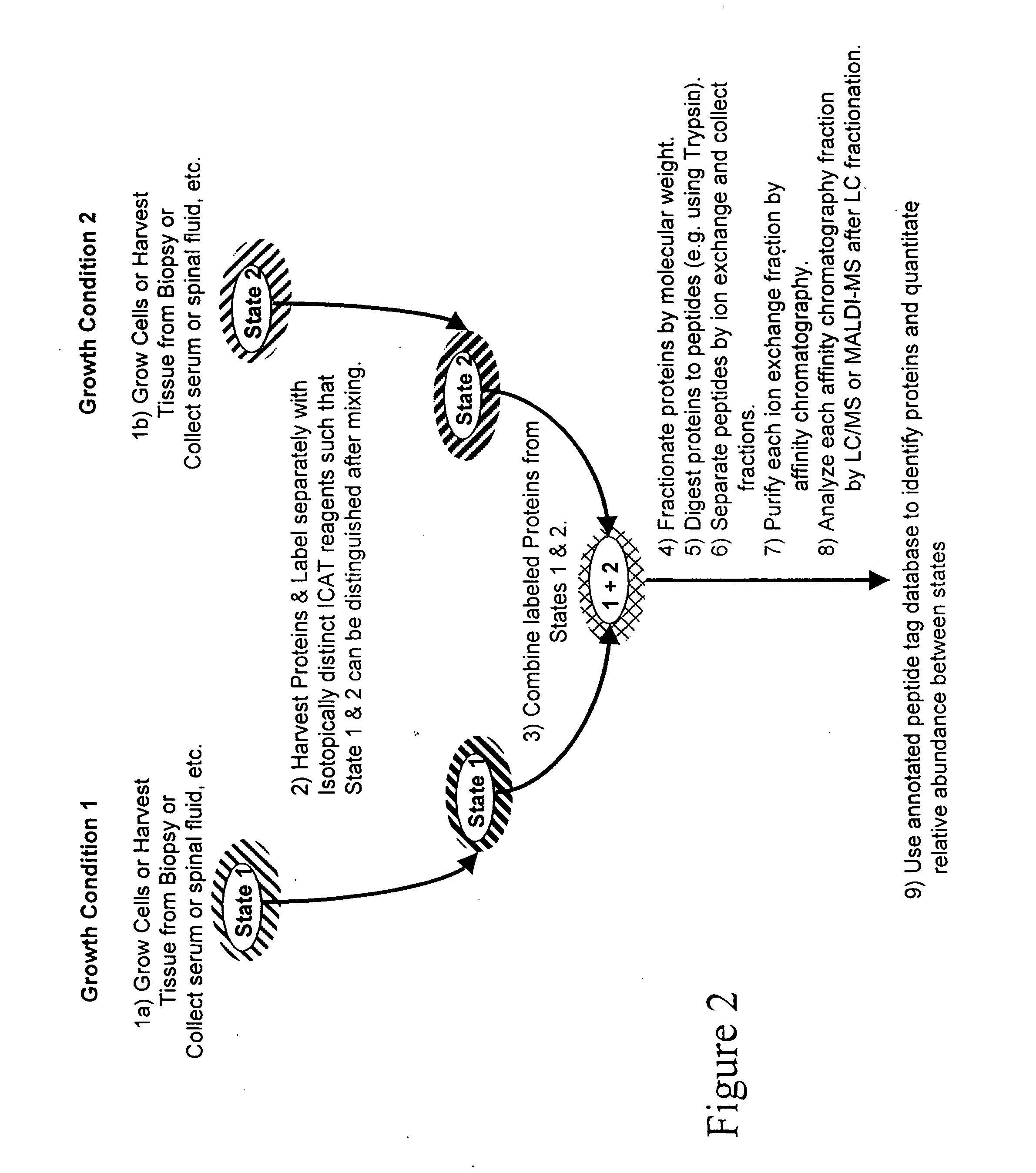 Methods for rapid and quantitative proteome analysis