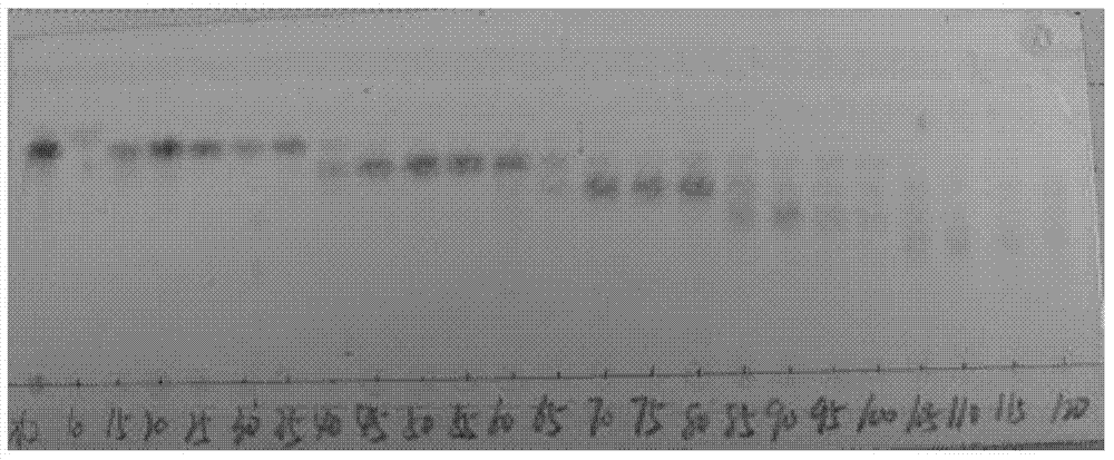 Method of extracting xylo-oligosaccharide from bamboo shoot shells and separating to obtain xylo-oligosaccharide monomer