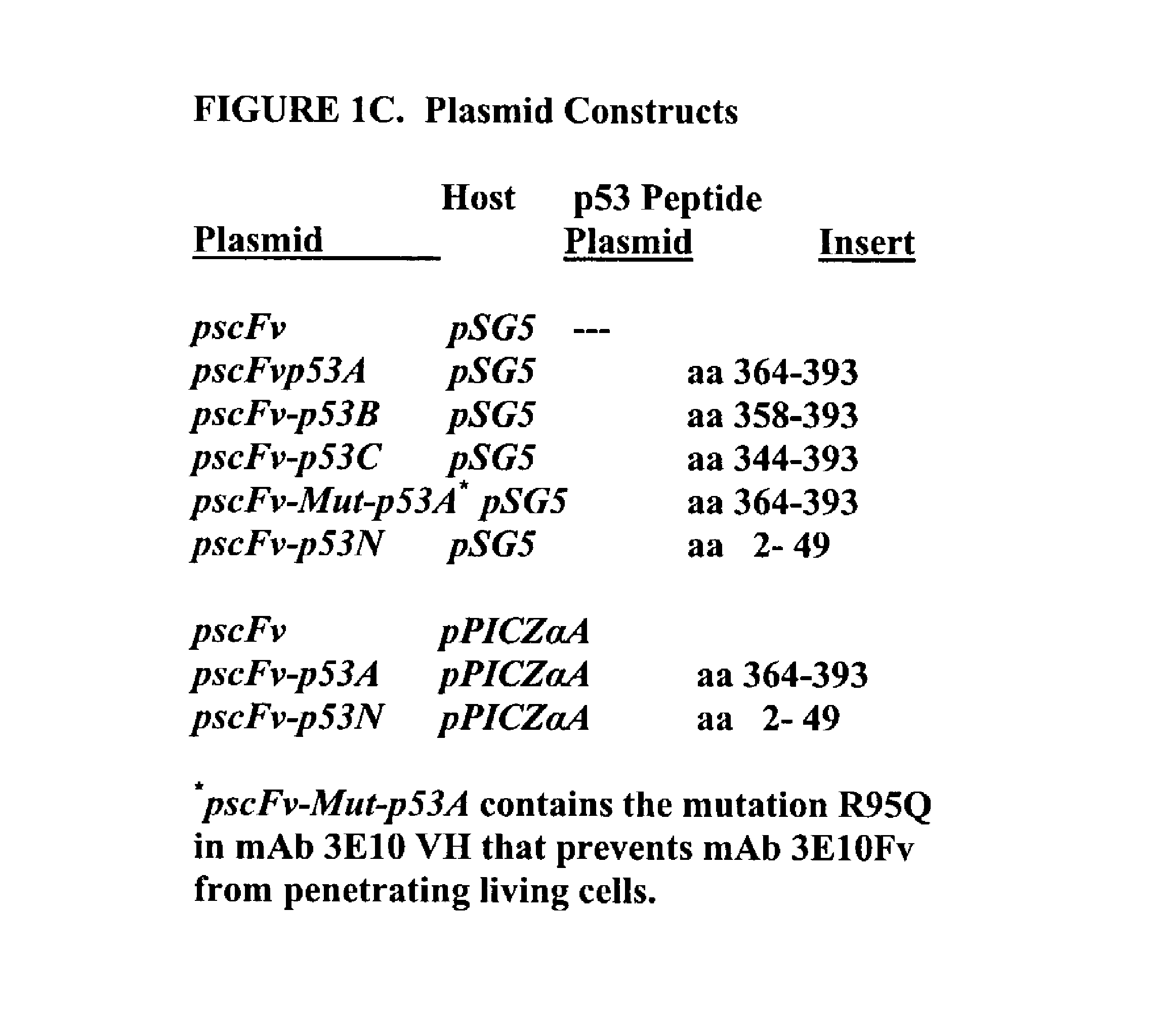 Delivery system using MAB 3E10 and mutants and/or functional fragments thereof