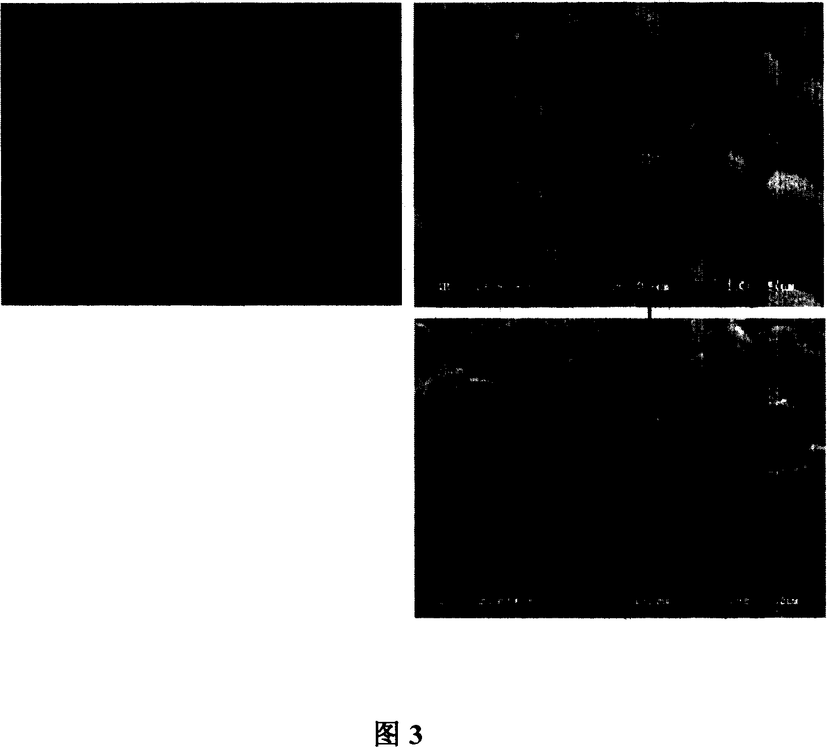 Simple method for preparing sphere analogous alpha-zirconium phosphate