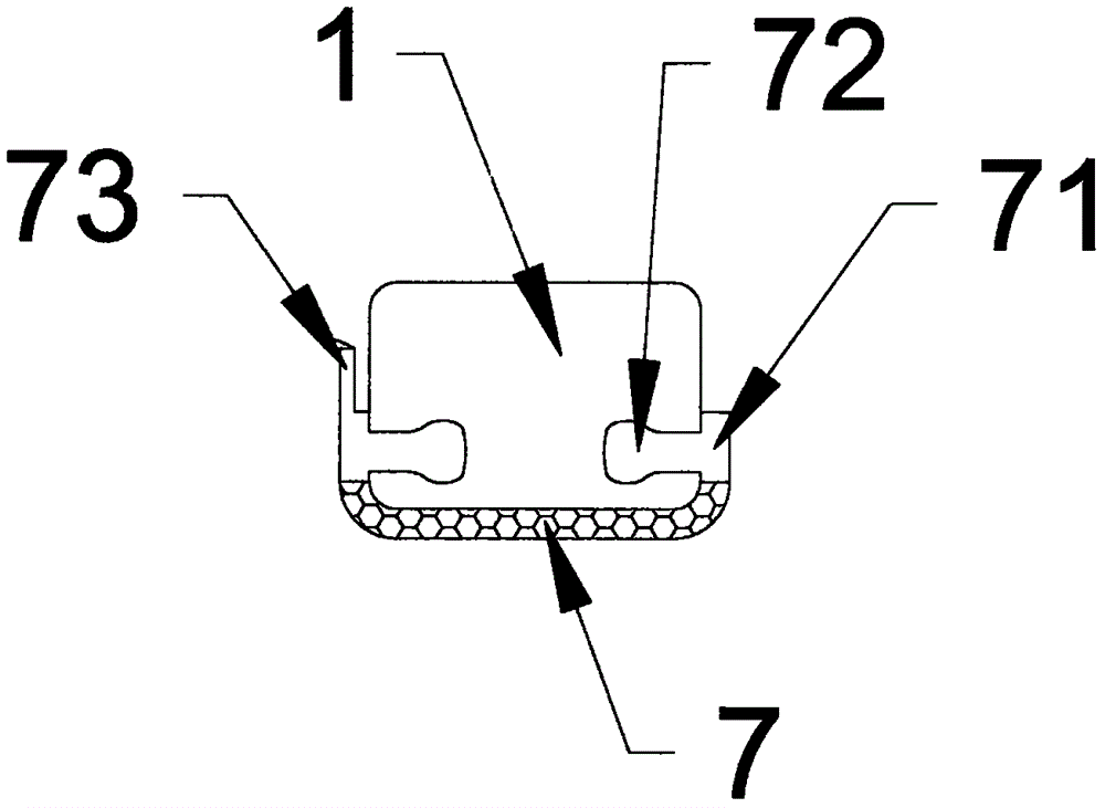 Ophthalmologic flushing device