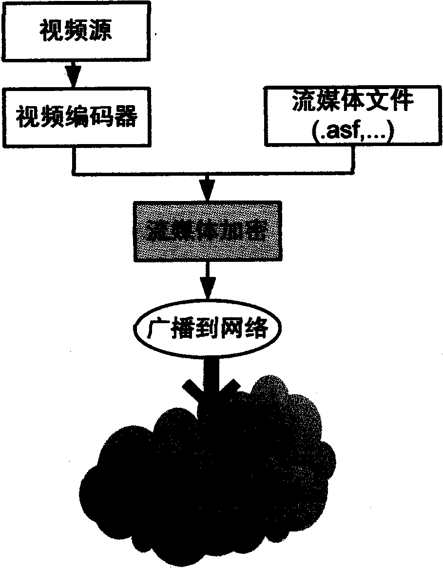 Method for designing network transmission structure of P2P streaming media with digital rights management