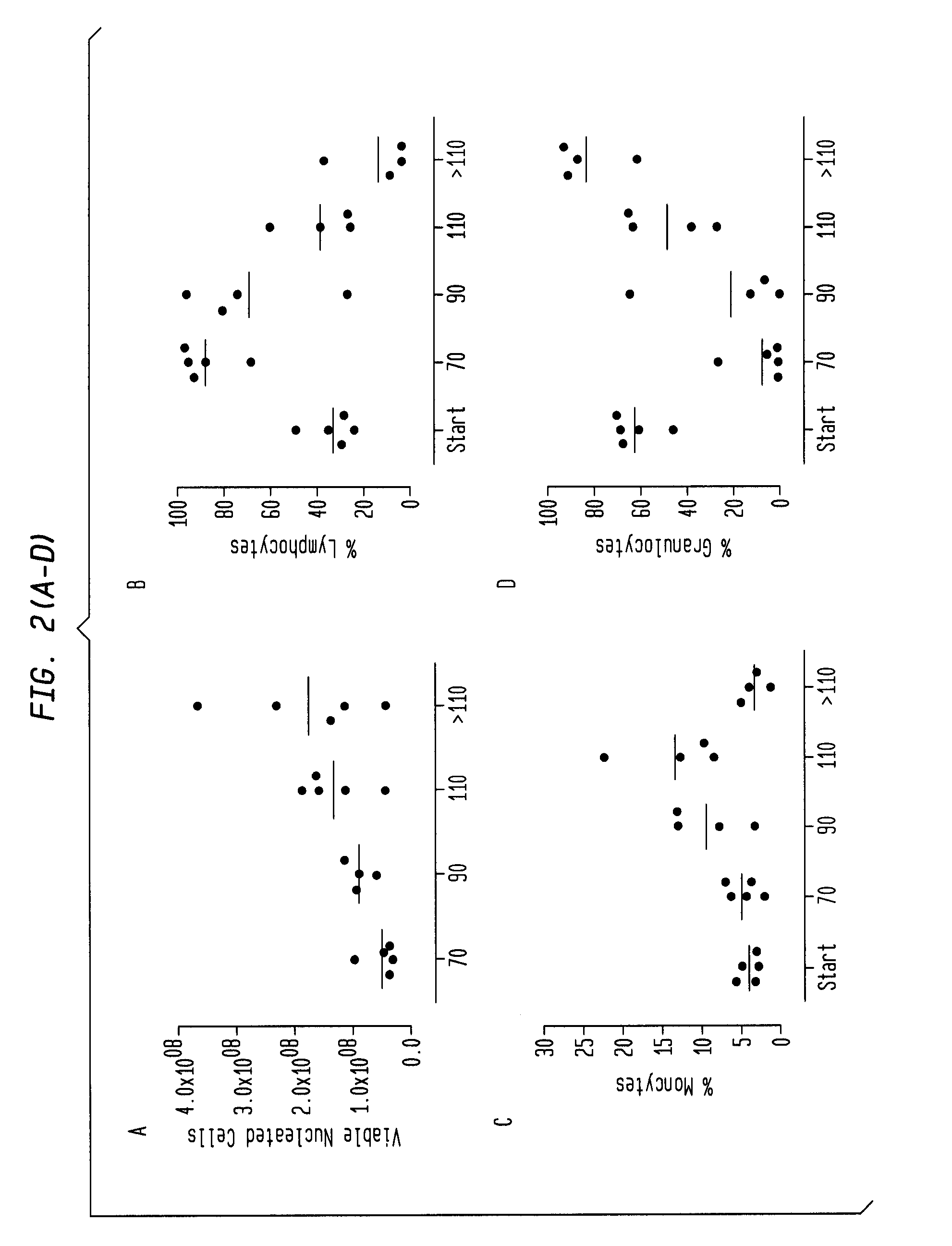 Adult mesenchymal stem cell (MSC) compositions and methods for preparing the same