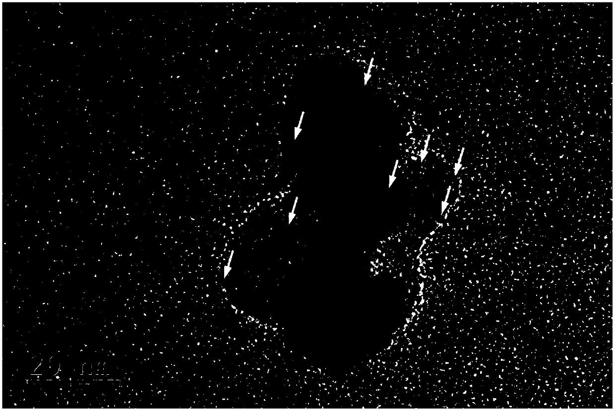 Preparation method of air purification photocatalyst with extra-small precious metal loaded on titanium dioxide surface