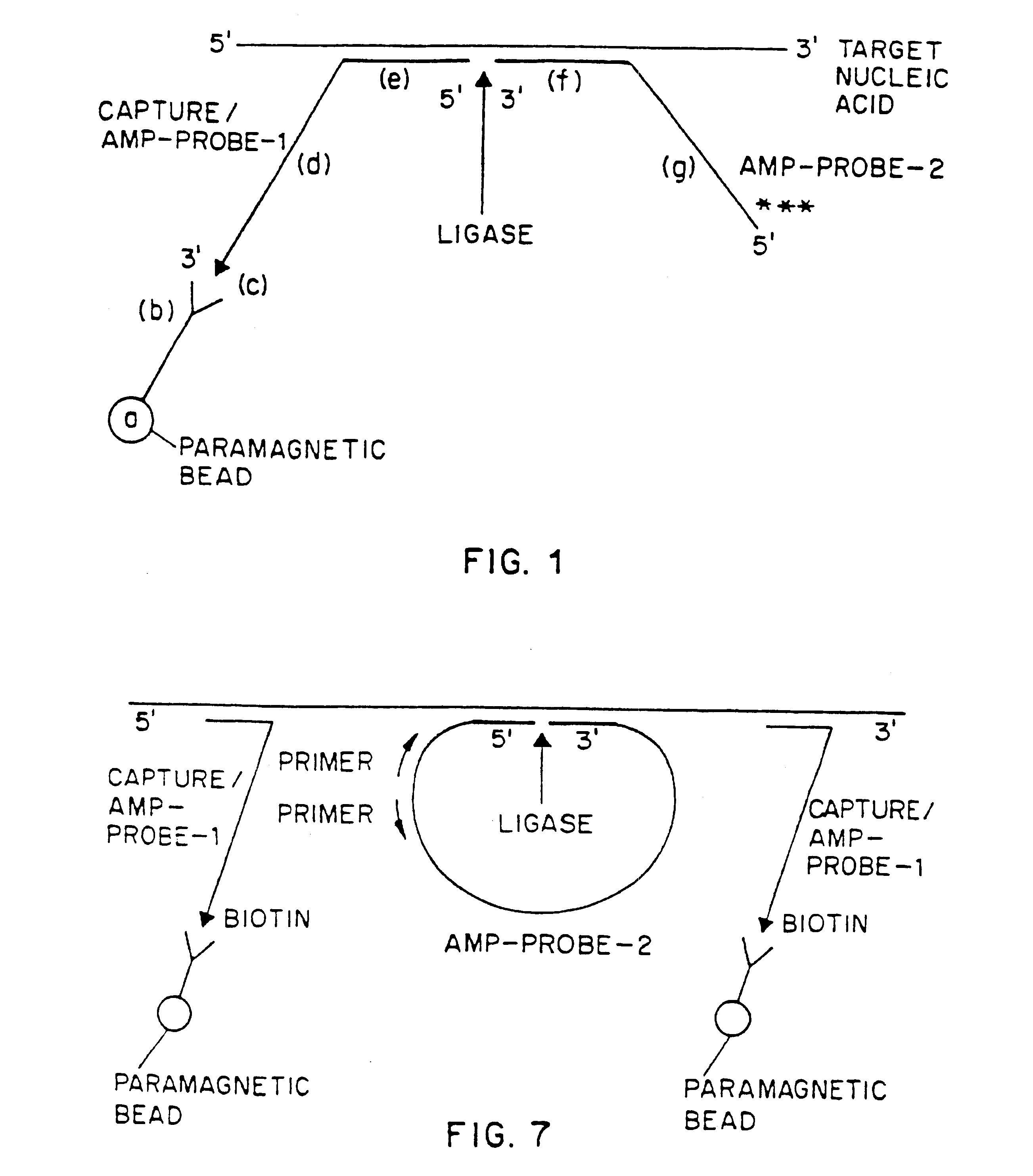 Nucleic acid amplification method hybridization signal amplification method (HSAM)