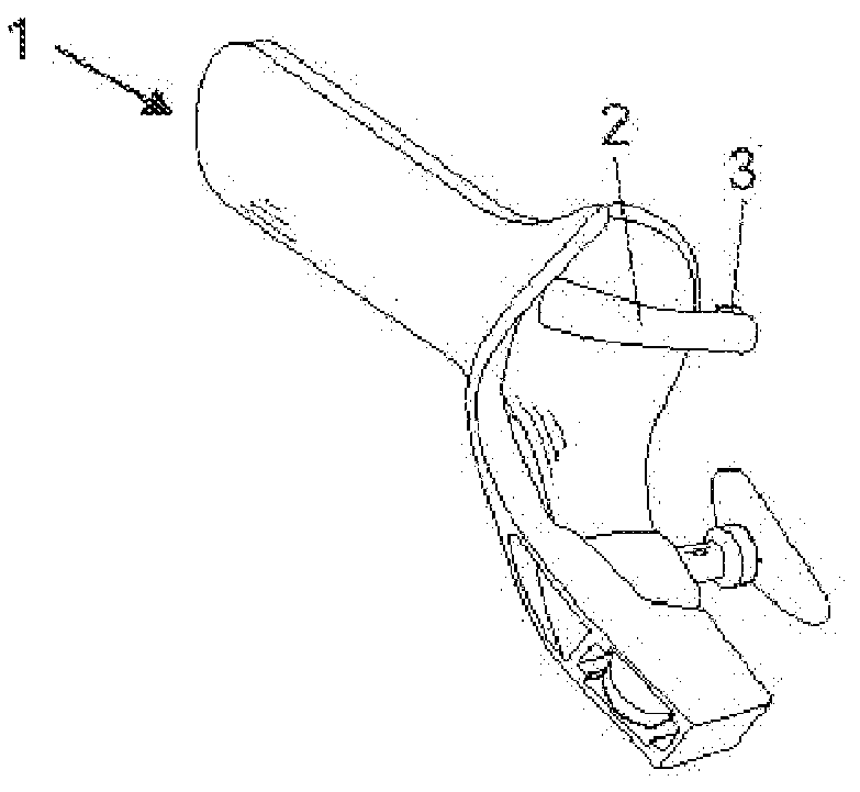 Vaginal Speculum Provided With An Automatically Actuated Illumination System