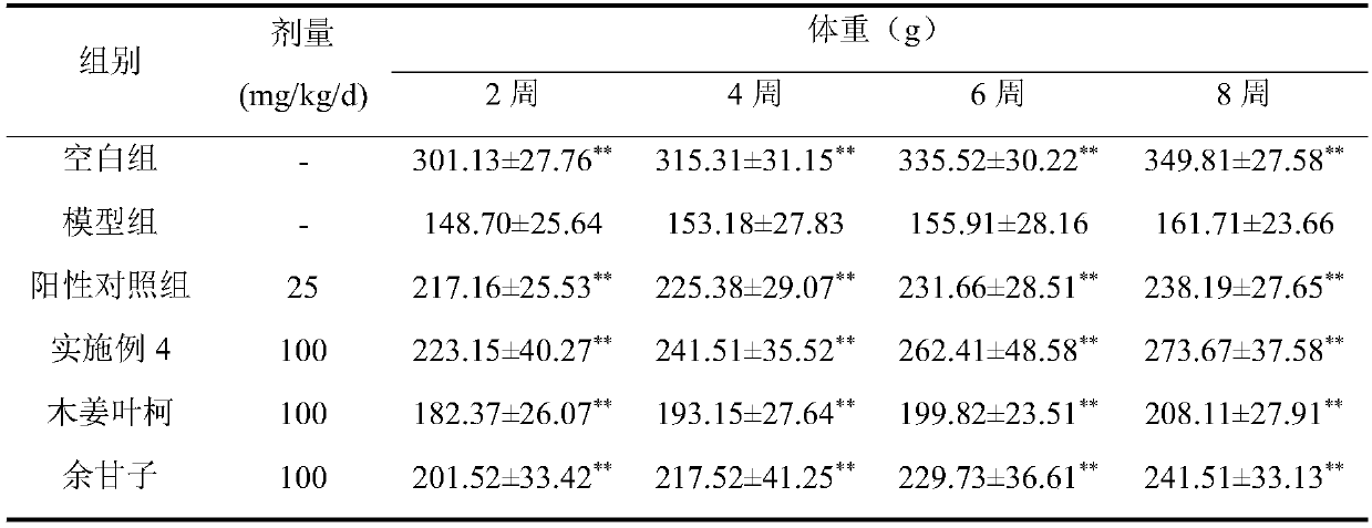 Lithocarpus litseifolius and emblic leafflower fruit functional food and preparation method thereof