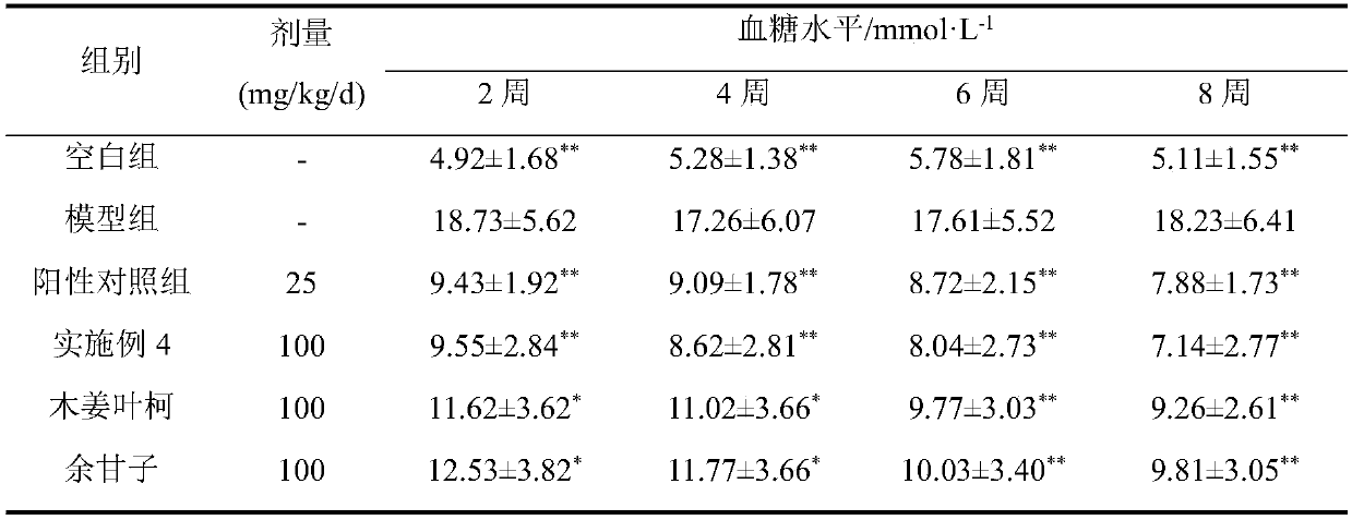 Lithocarpus litseifolius and emblic leafflower fruit functional food and preparation method thereof