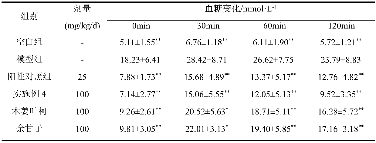 Lithocarpus litseifolius and emblic leafflower fruit functional food and preparation method thereof