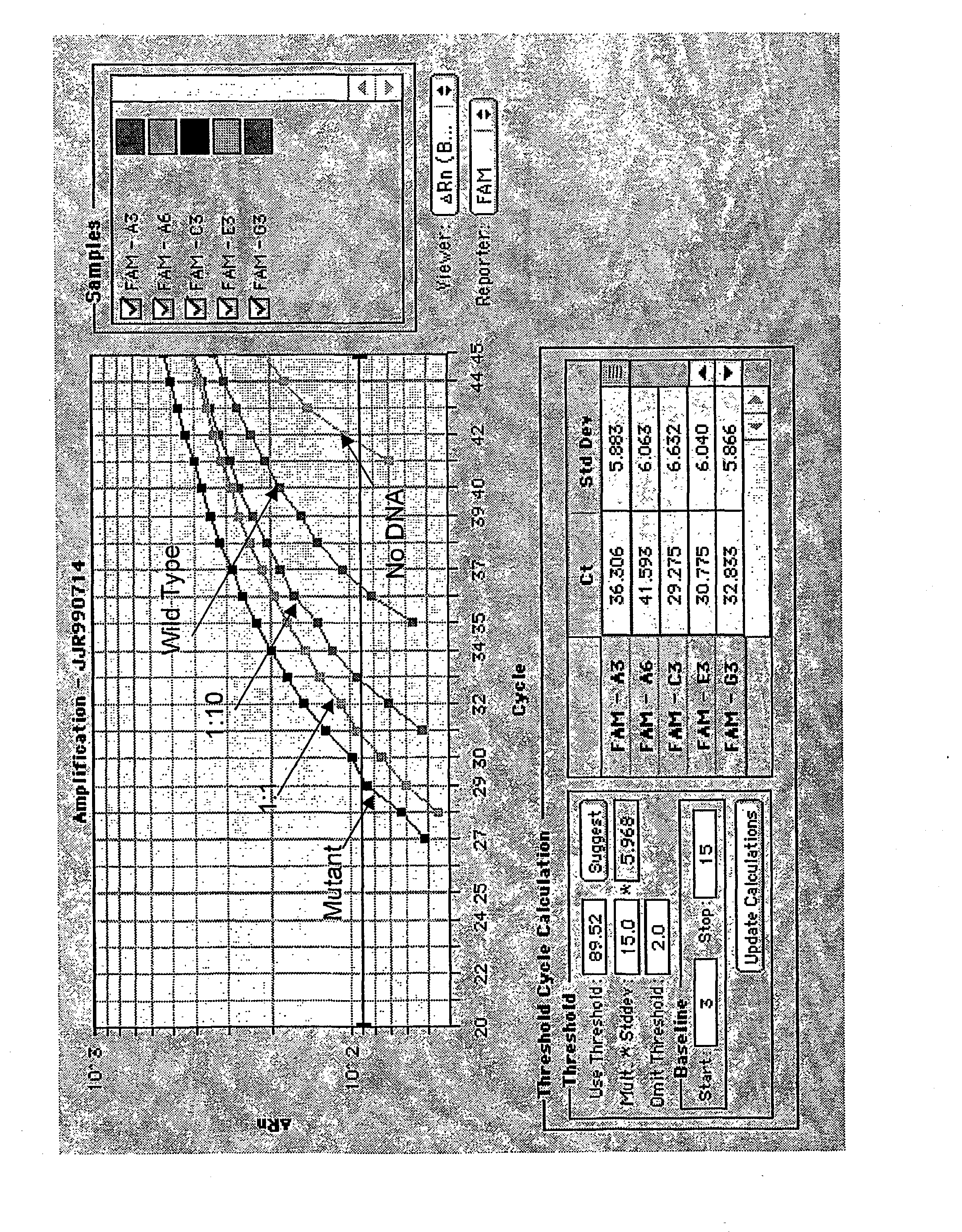 Method for concurrent amplification and real time detection of polymorphic nucleic acid sequences