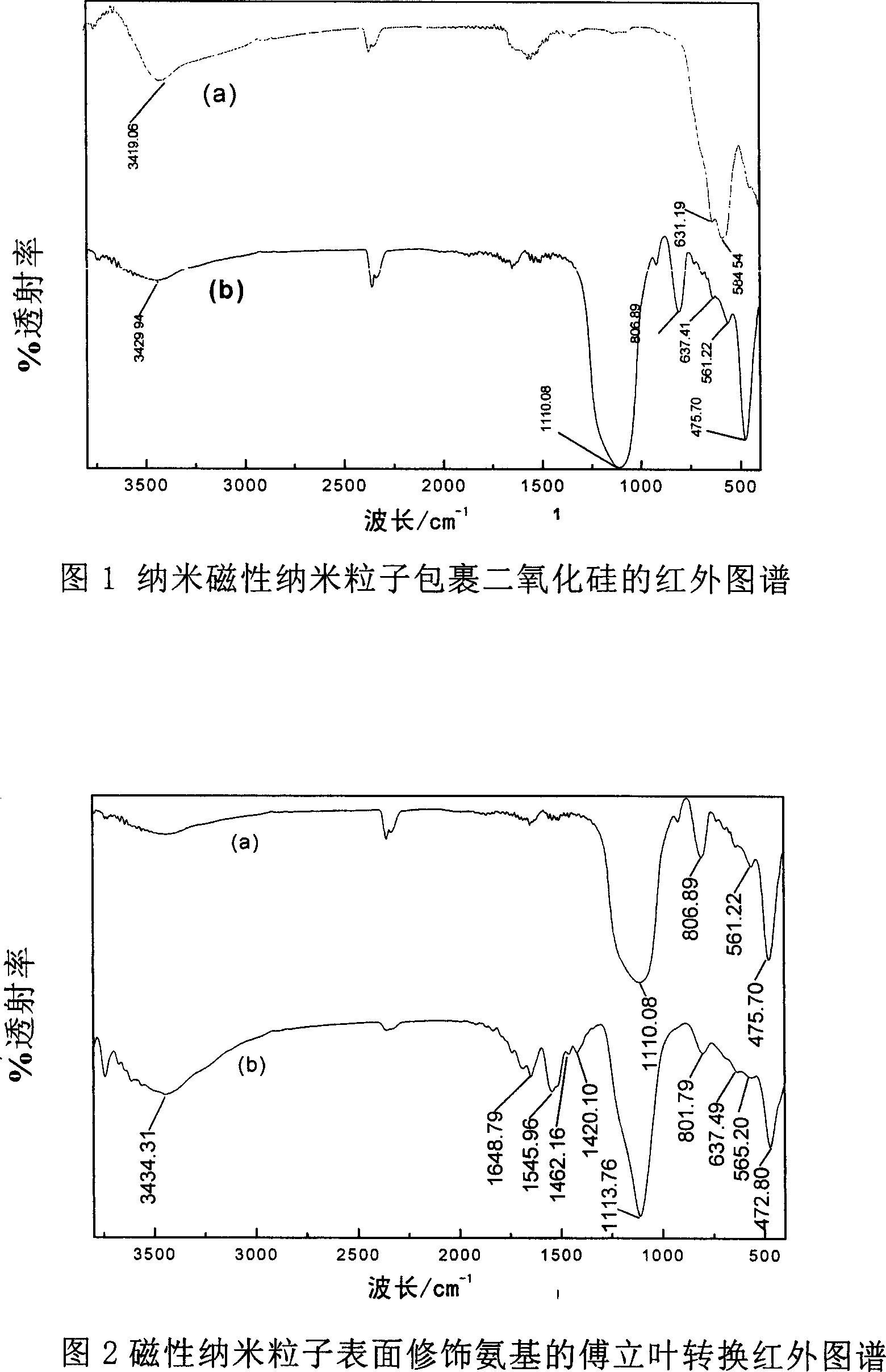 Immune magnetic nano particle bacterium separator and its production method and use