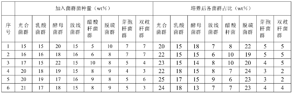 Complex flora for sewage treatment and culture method of complex flora