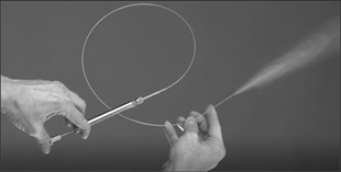 A cynomolgus monkey model of bleomycin-induced pulmonary fibrosis and its application