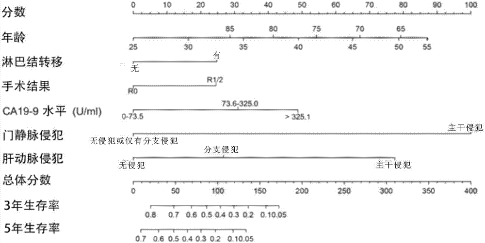 Hilar cholangiocarcinoma patient prognosis prediction model