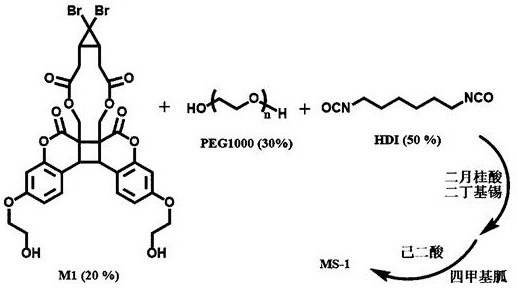 A kind of response feedback type mechanochromic polymer material and preparation method thereof