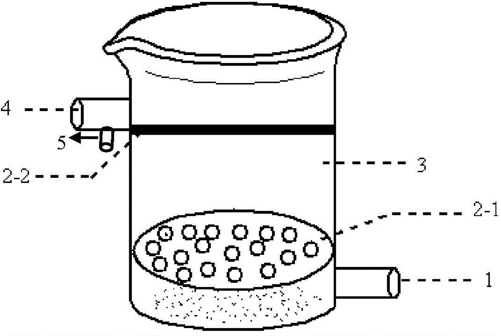 Special apparatus for removing heavy metal ions in wastewater, and method thereof