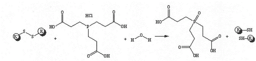 Method for making wool fabric have antibacterial and anti-static functions