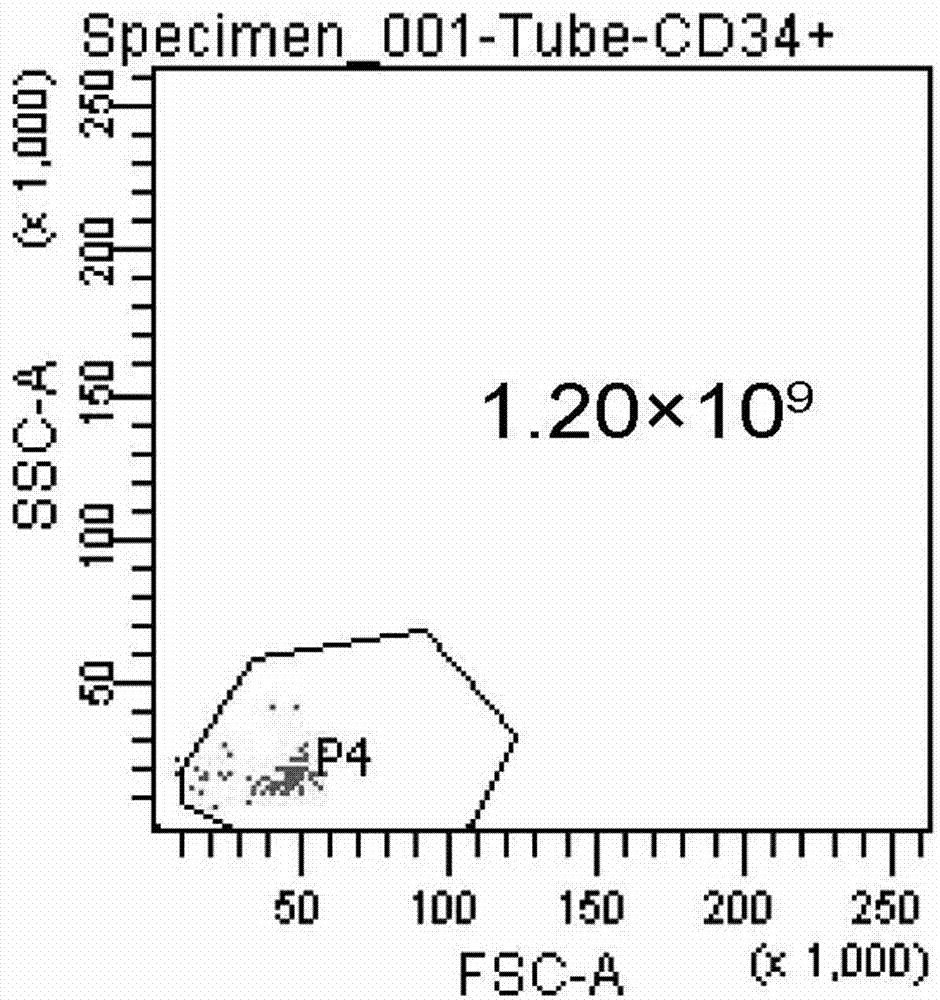 Preparation method and preservation method of clinical application-level placental hematopoietic stem cells