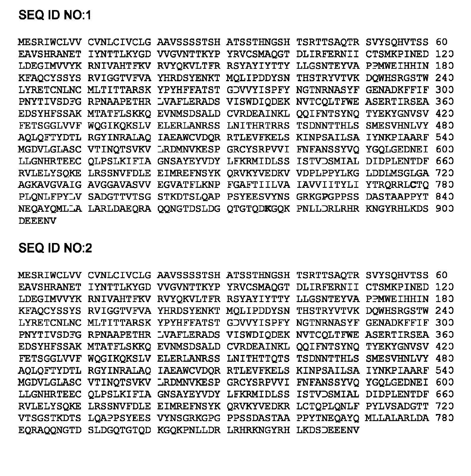 Cytomegalovirus GB antigen