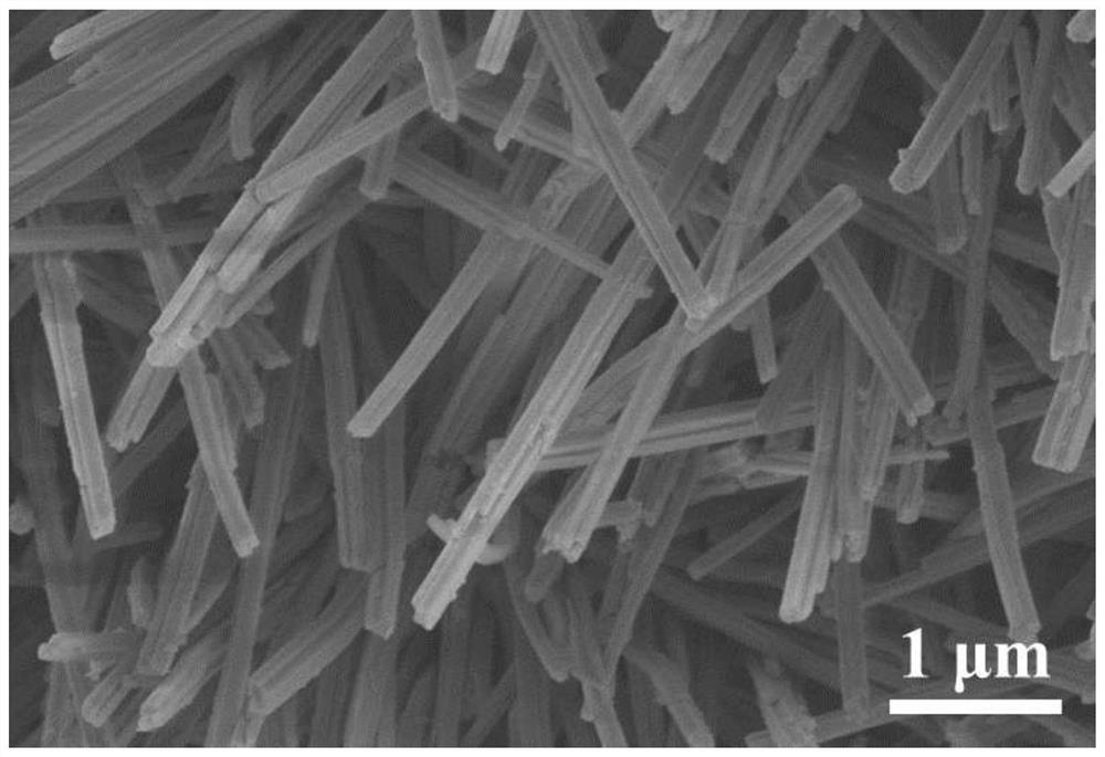 Branch and leaf type heterostructure complete water splitting catalyst and preparation method thereof