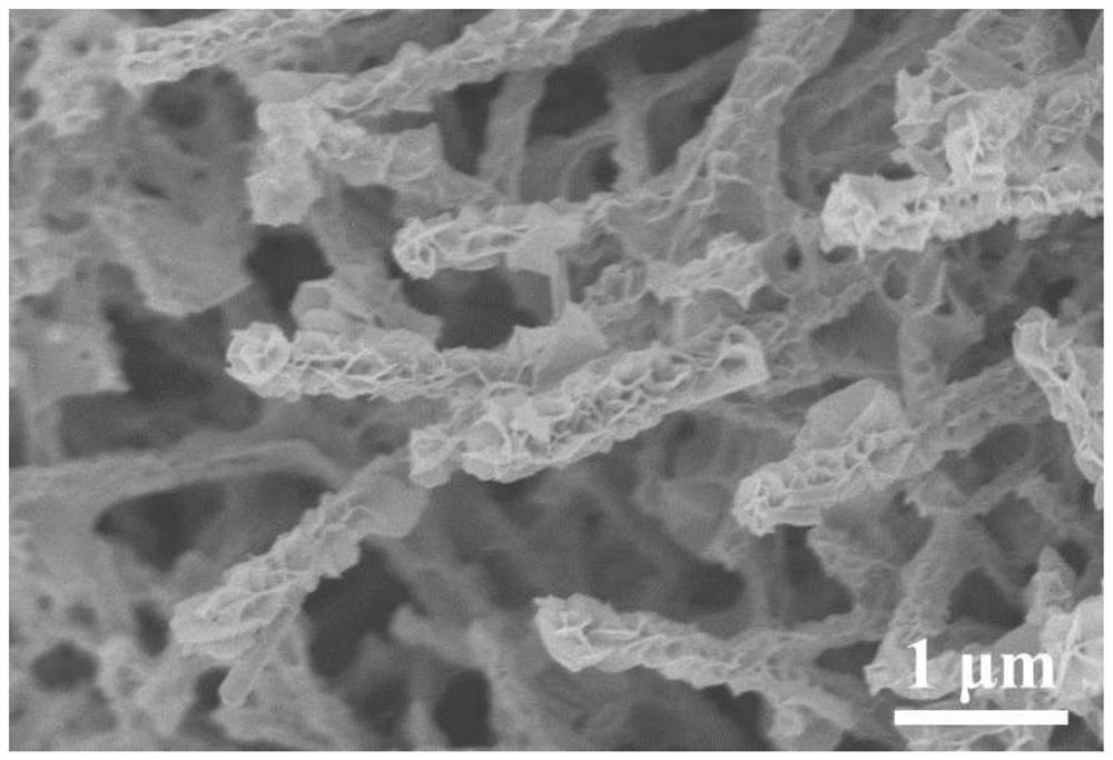 Branch and leaf type heterostructure complete water splitting catalyst and preparation method thereof