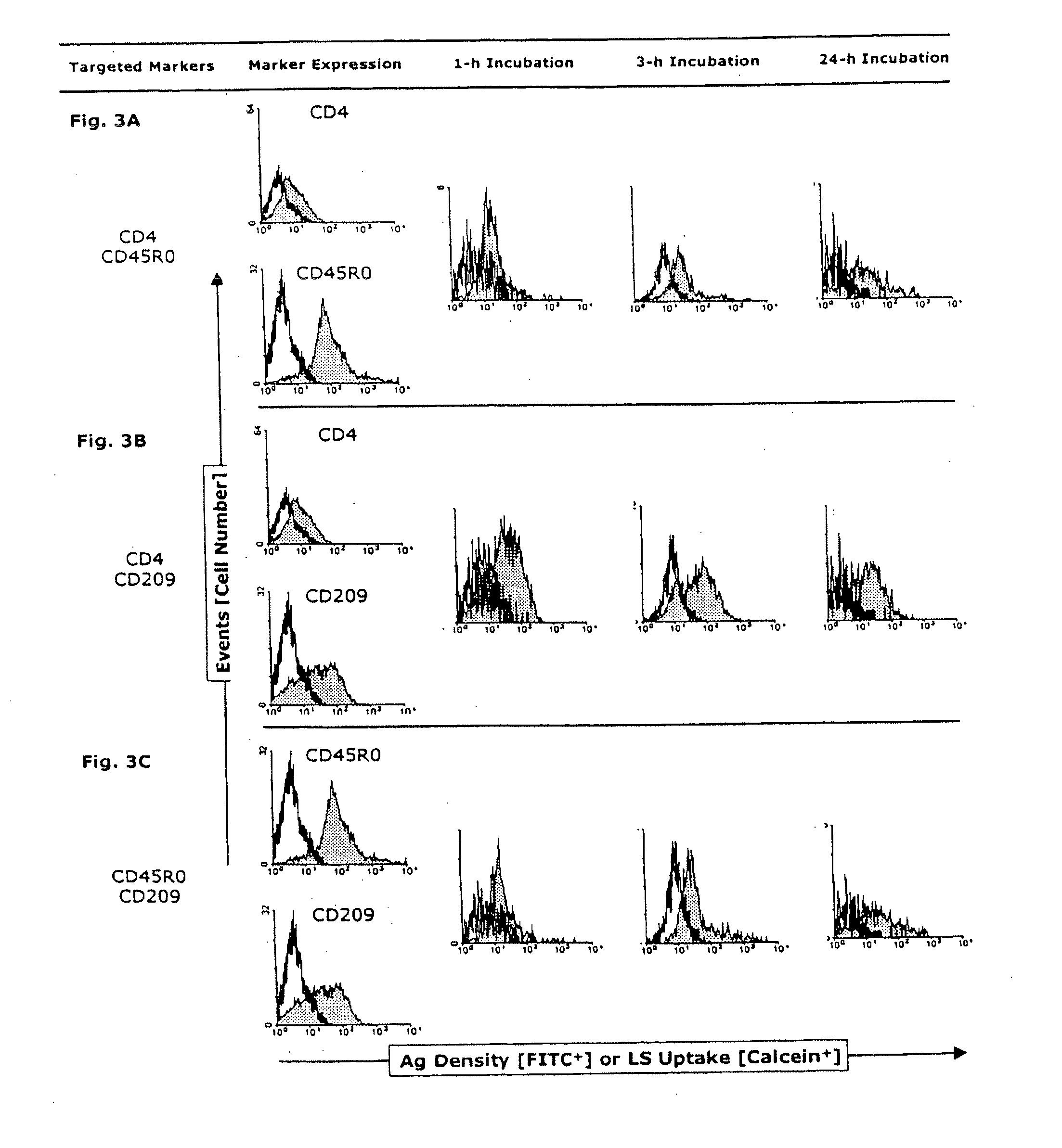 Targeted Lipid-Drug Formulations for Delivery of Drugs to Myeloid and Lymphoid Immune Cells