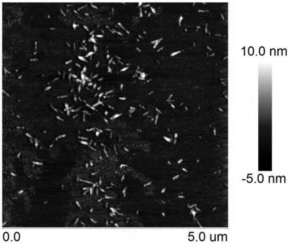 Method for preparing nano cellulose from plant fibers