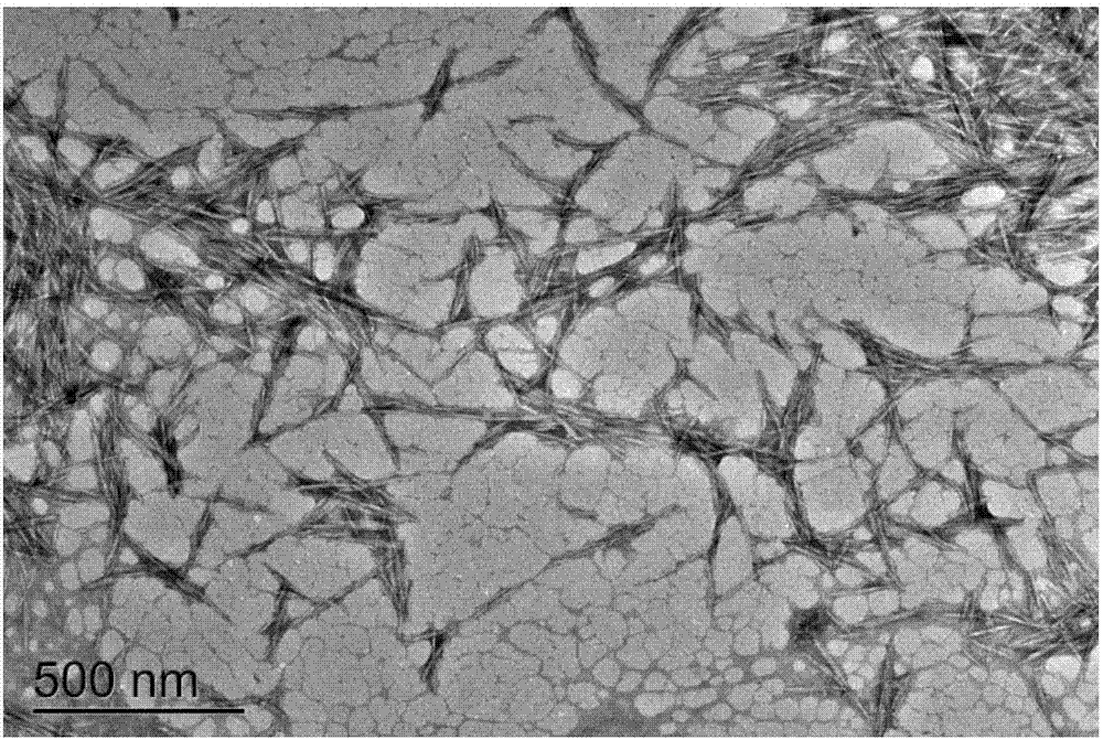 Method for preparing nano cellulose from plant fibers