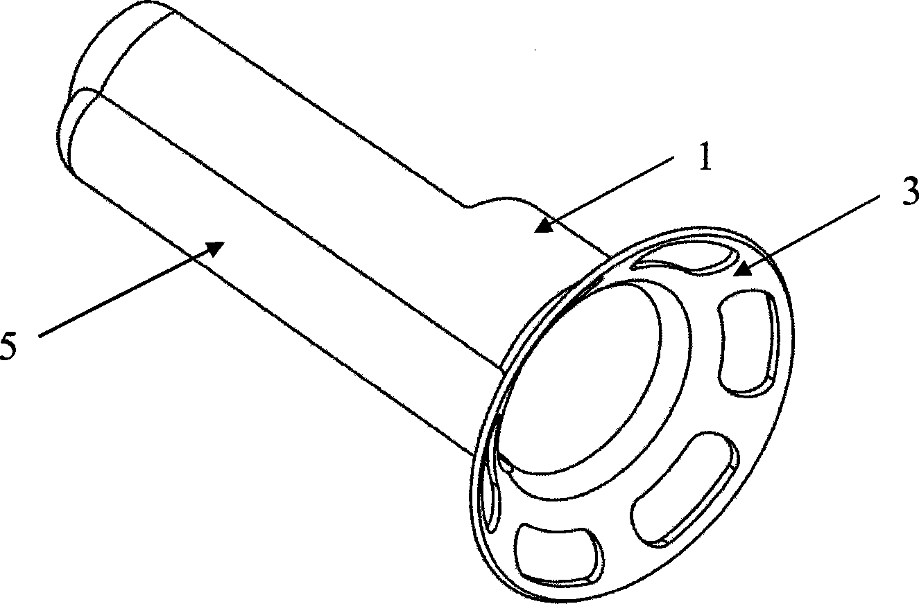 Anorectal operation assisting device