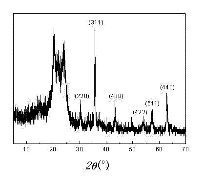 Method for nanometer ferroferric oxide modification of chinlon fabric via hydrothermal process