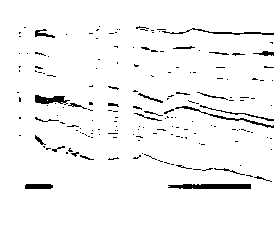 Pre-stack seismic wide angle retrieval method