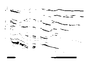 Pre-stack seismic wide angle retrieval method