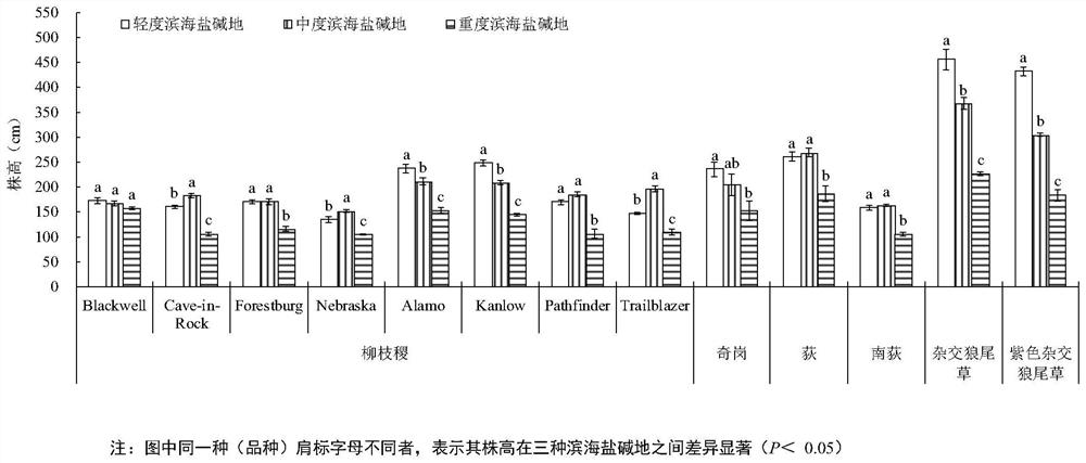 A method of planting energy grass or ornamental grass in coastal saline-alkali land