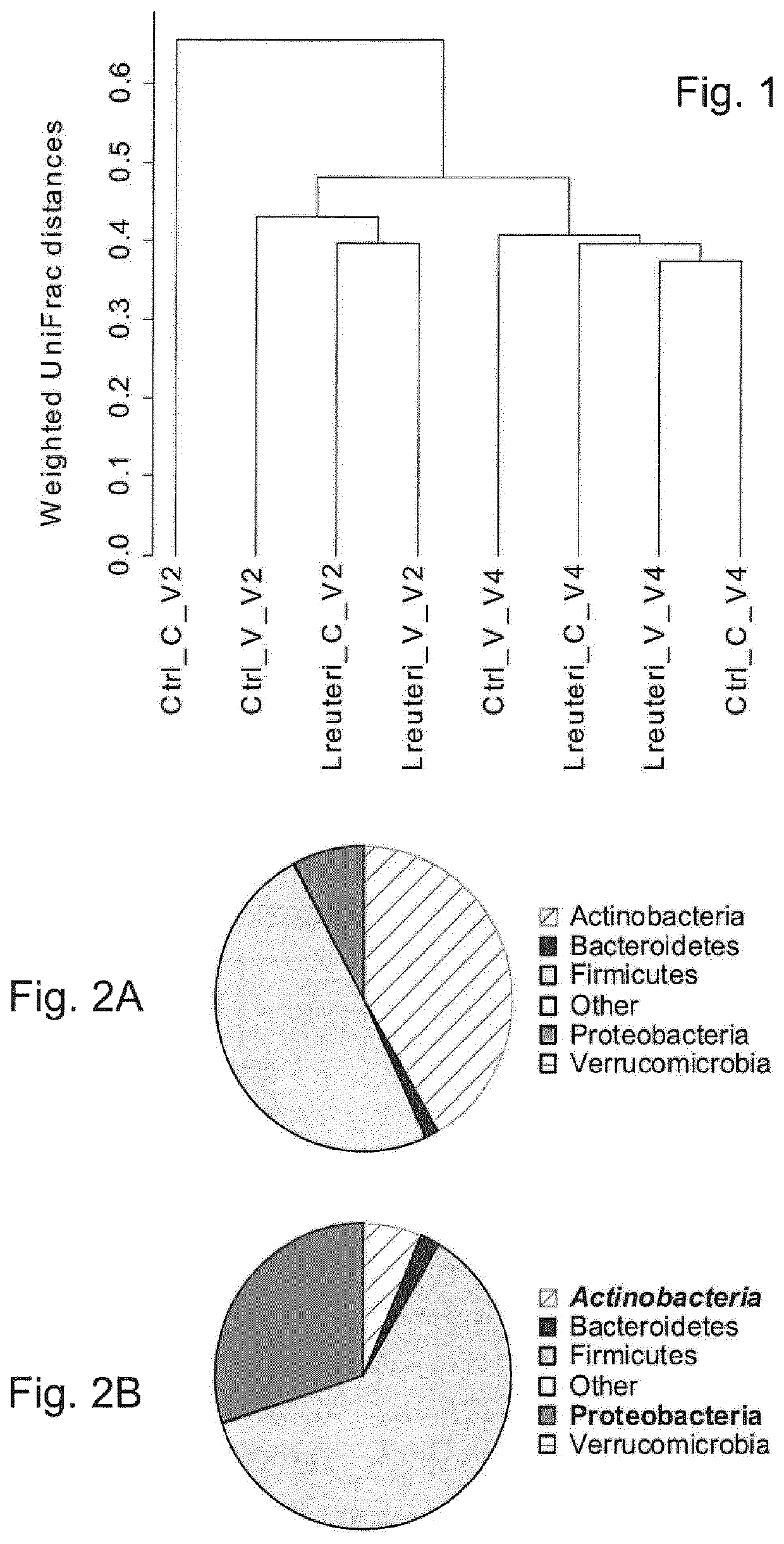 Use of <i>L. reuteri </i>for recovery of microbiota dysbiosis in early life