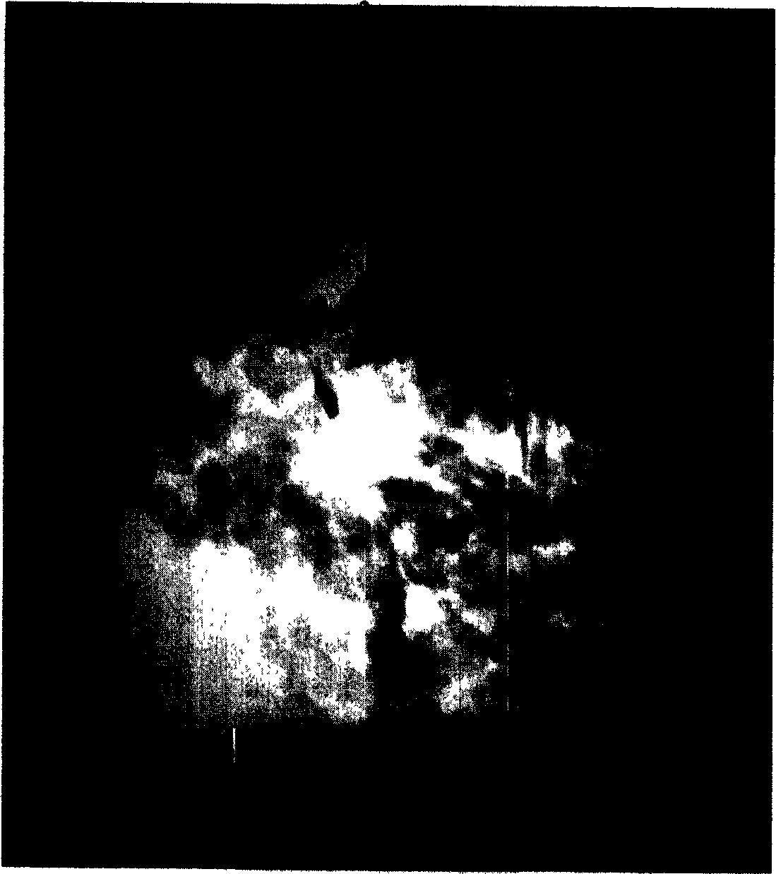 Preparation method of nano-nickel dioxide