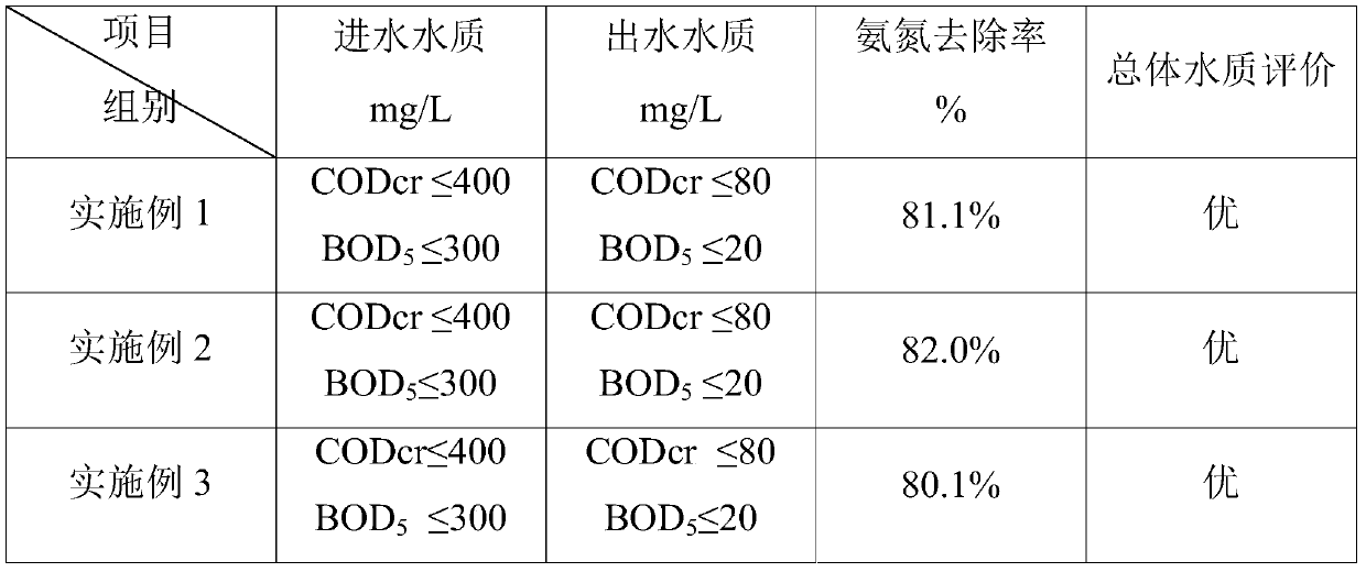 MBR biological film backwashing decontamination method