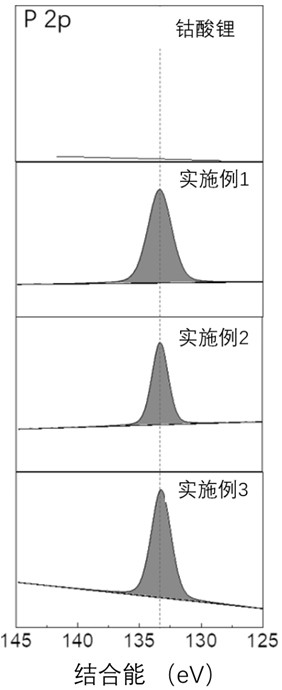 Lithium ion battery cathode material and preparation method