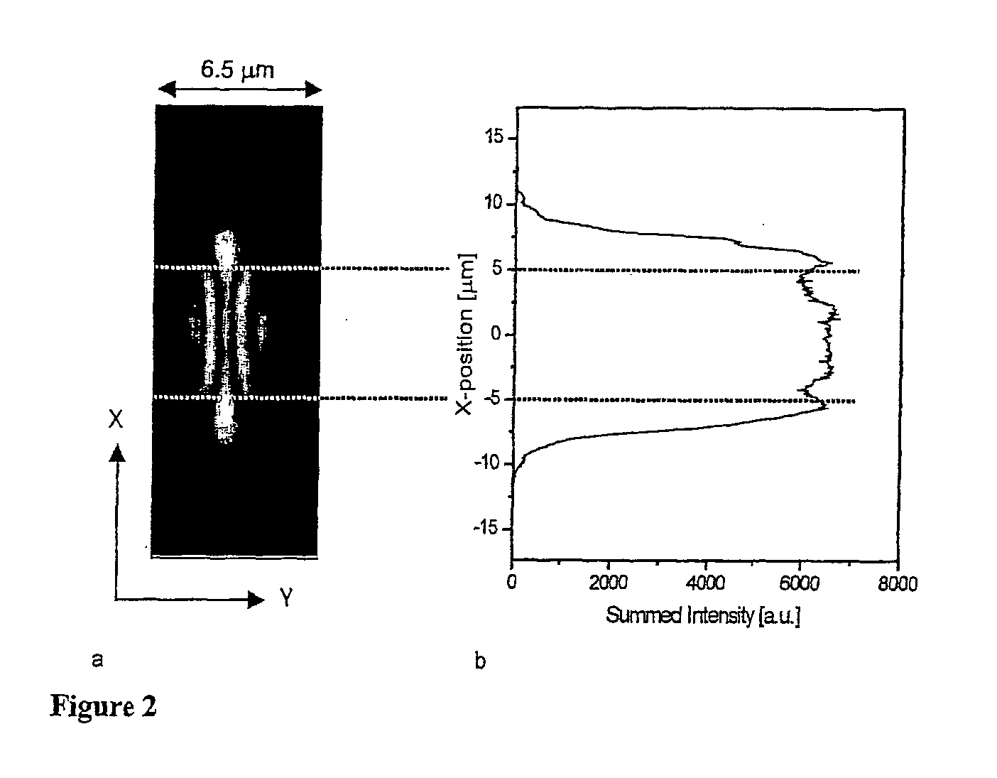 Devices and methods to image objects