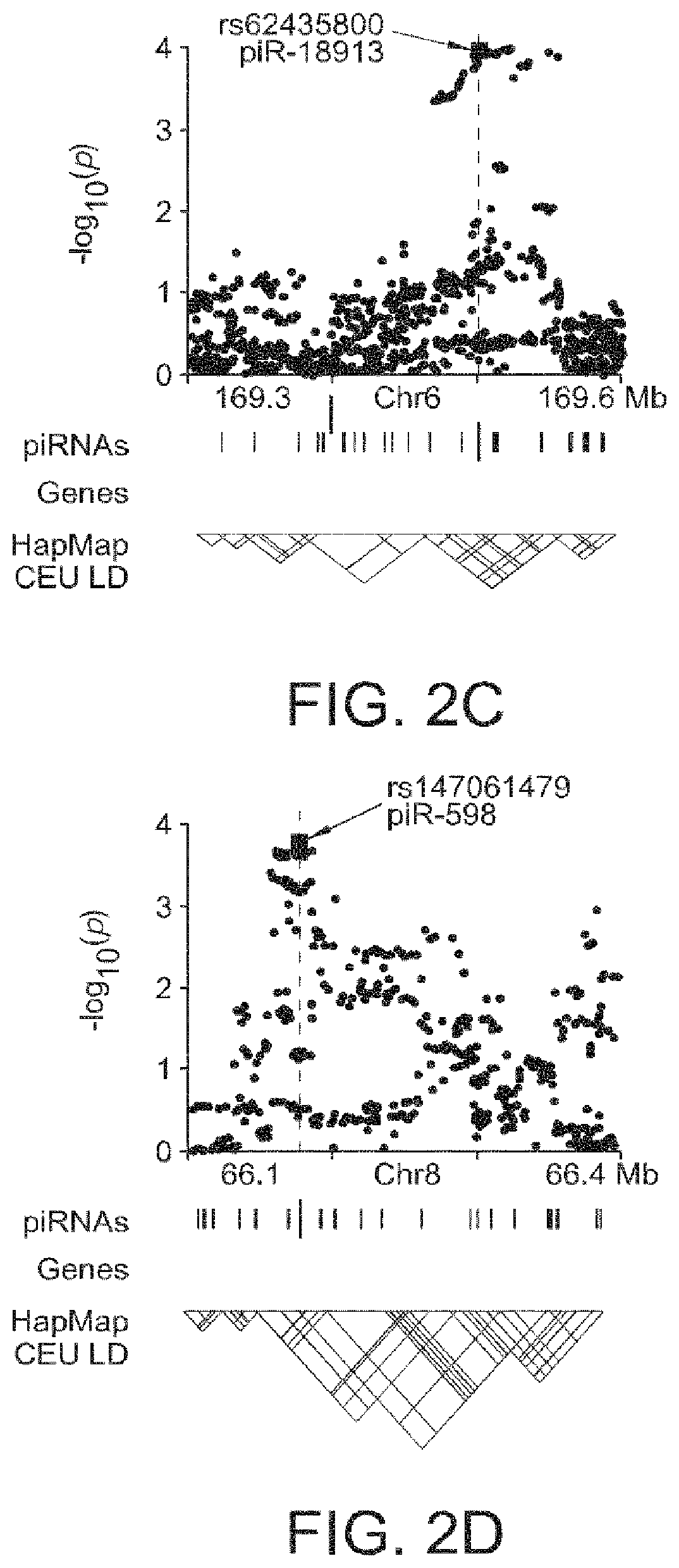 Compositions and methods of using piRNAS in cancer diagnostics and therapeutics