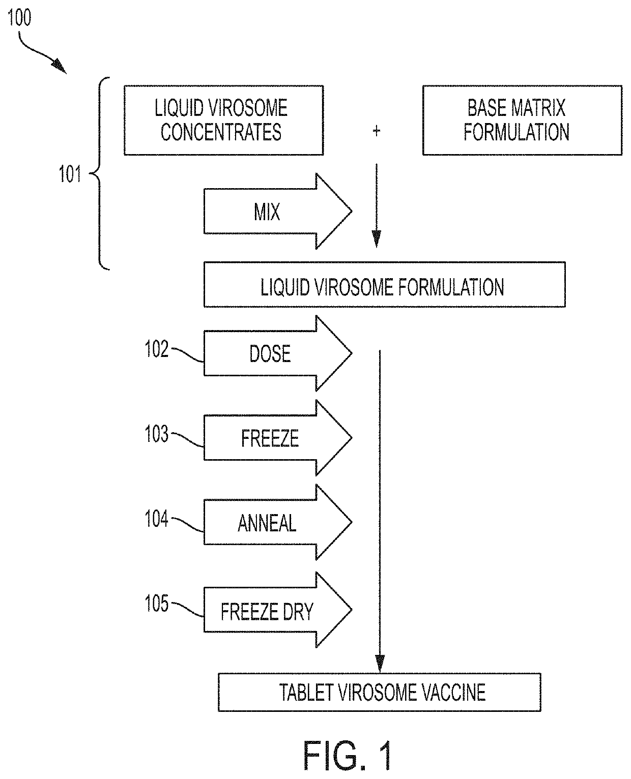 Oral dispersible vaccine comprising virosomes