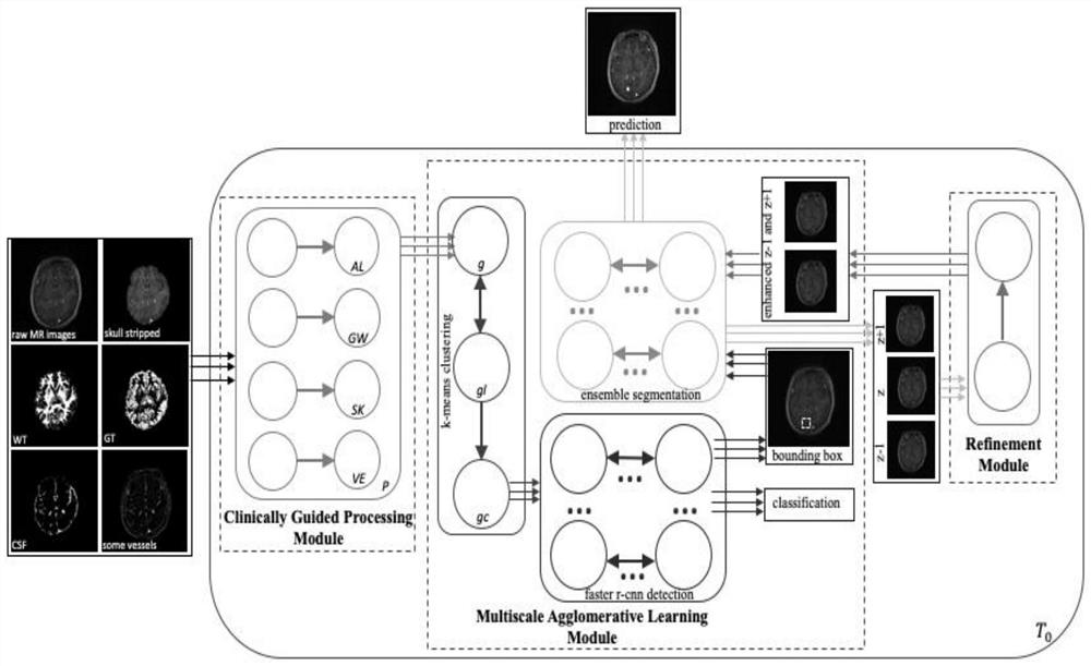 Deep coagulation population P system and method for brain metastatic tumor mixed supervised learning