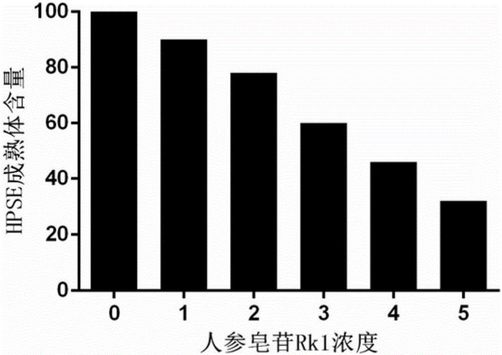 Application of ginsenoside used as heparanase inhibitor in preparation of tumor therapeutic drug