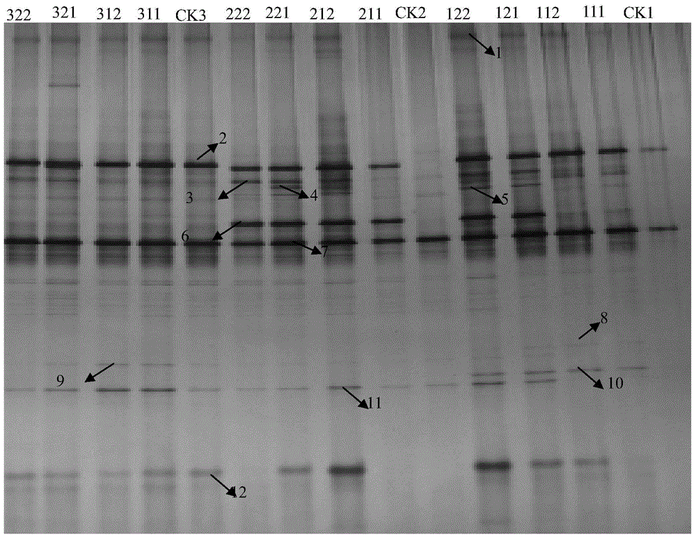 Bean yoghourt fermenting agent with processing suitability as well as preparation method and application thereof