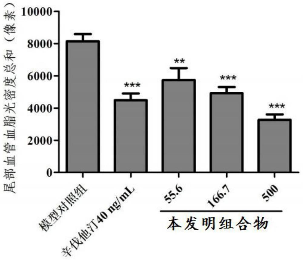 Anti-inflammatory and blood fat-reducing composition, product and preparation method and application of anti-inflammatory and blood fat-reducing composition