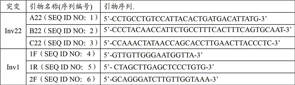 Severe hemophilia A disease-causing gene mutation detection kit