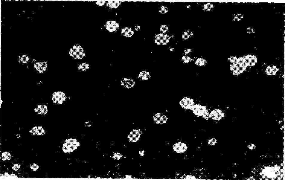 Polyglycol block modified polyhexanolactone and its preparing method