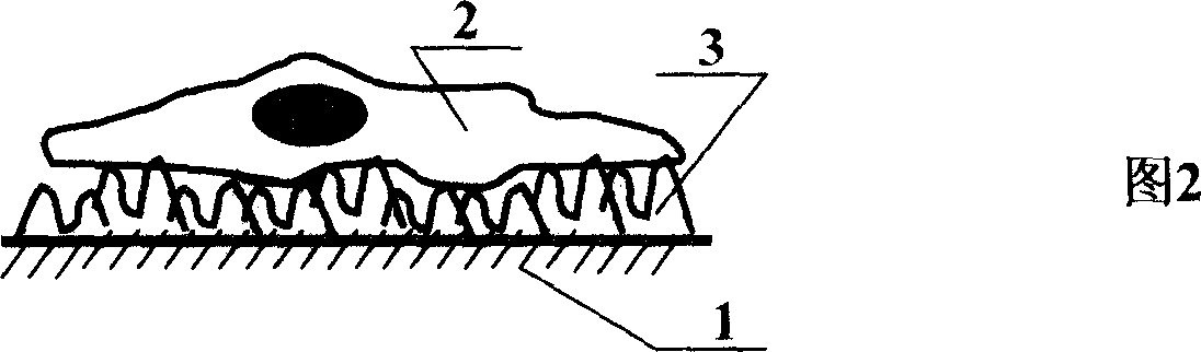 Cellular biological technique, reagent kits and preparation device